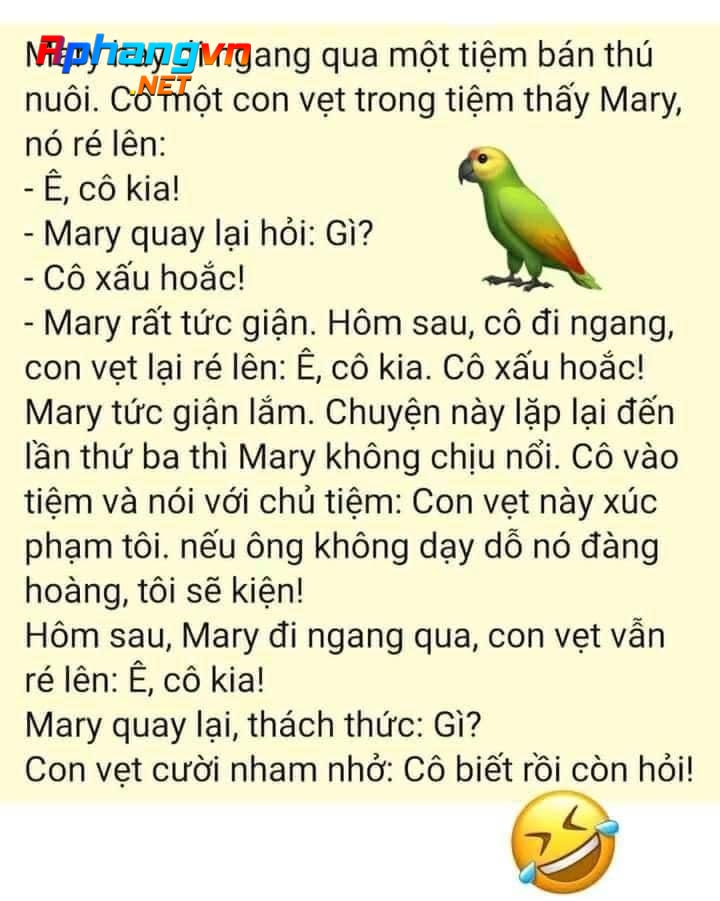 Hai_CoBietRoiConHoi.jpg