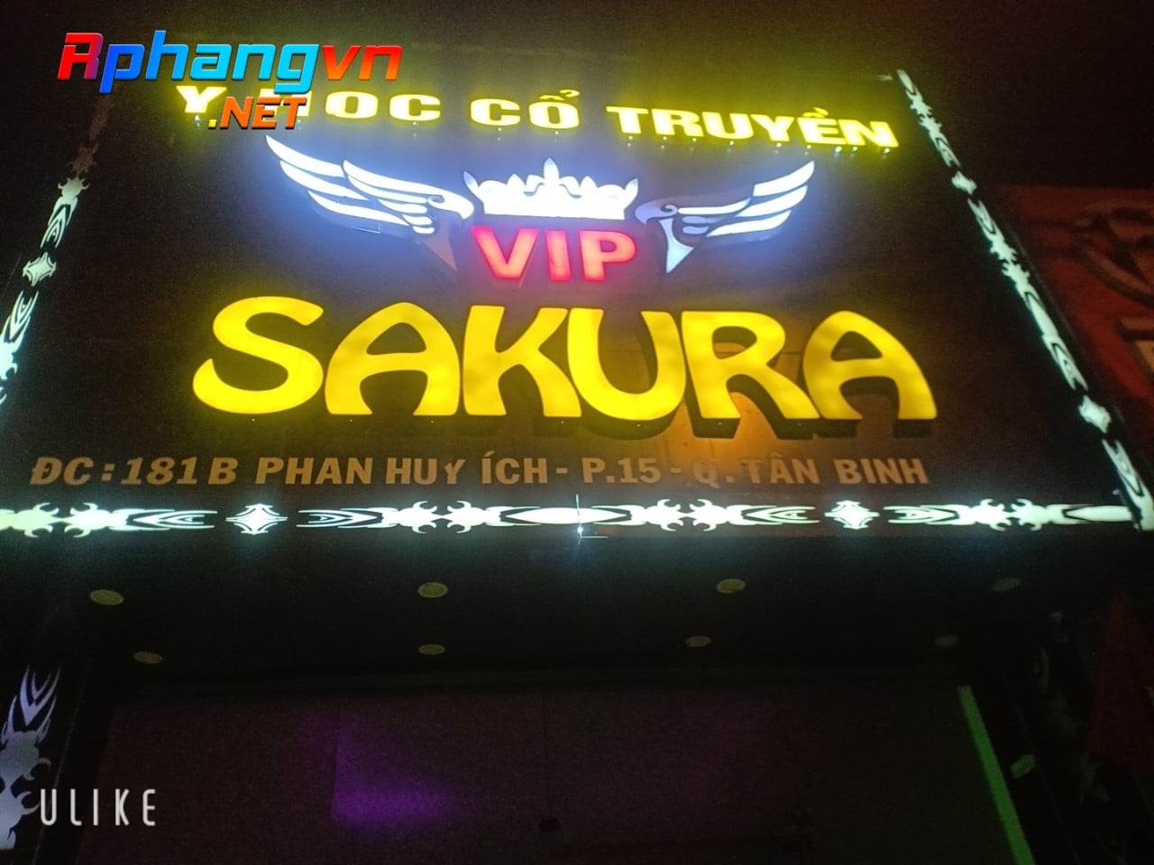 SAKURA 181.jpg