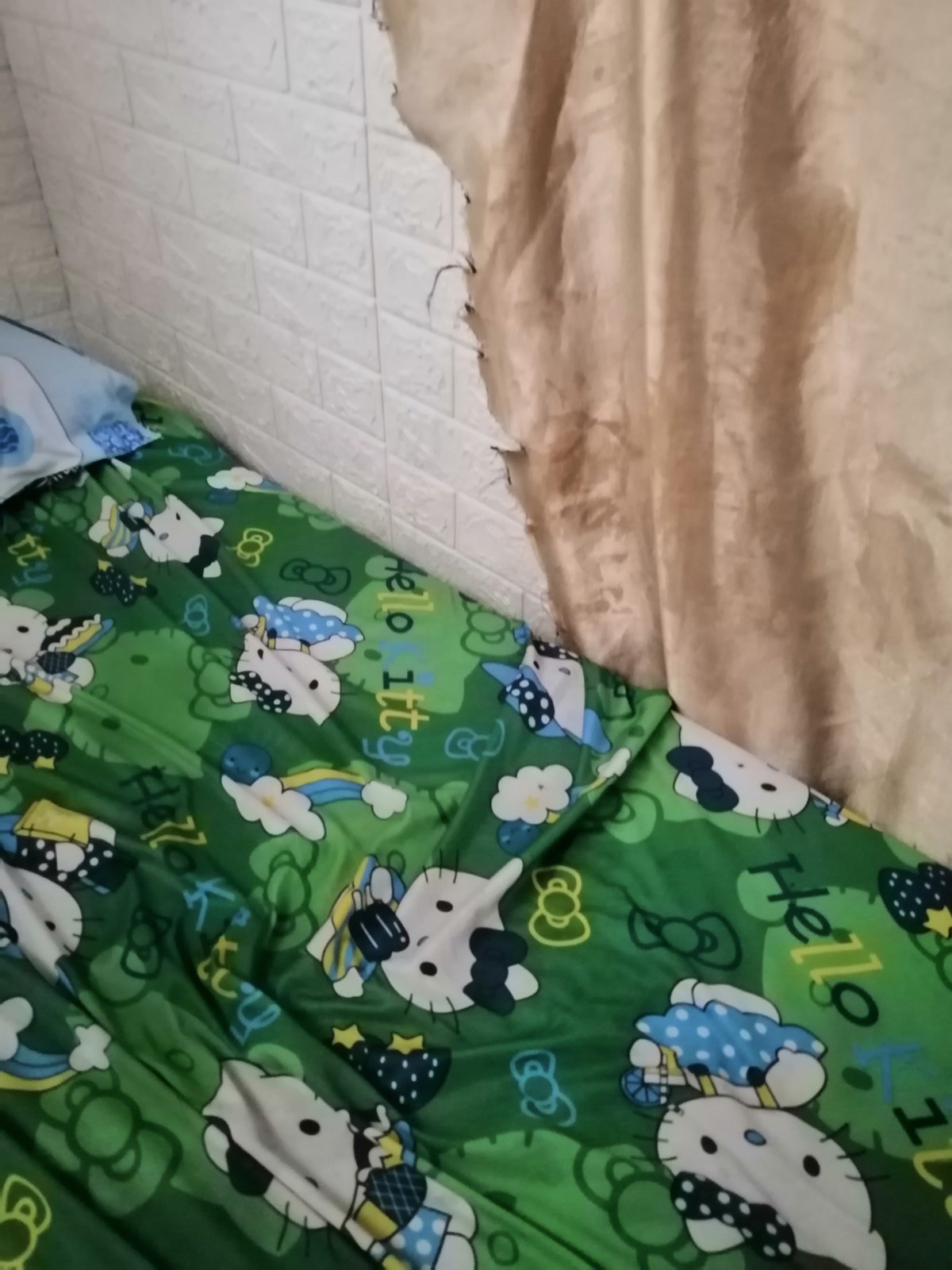 IMG_20210511_142156_1.jpg