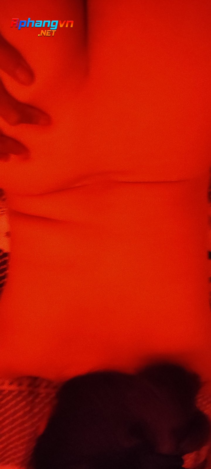 IMG20210525215902.jpg