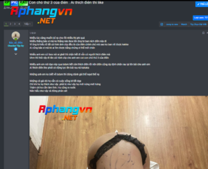 Hình 1.png
