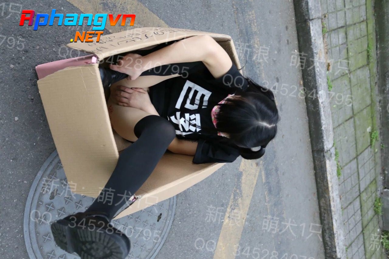 521_9_eUNDAtwbveRE8IrQVCfT.jpg