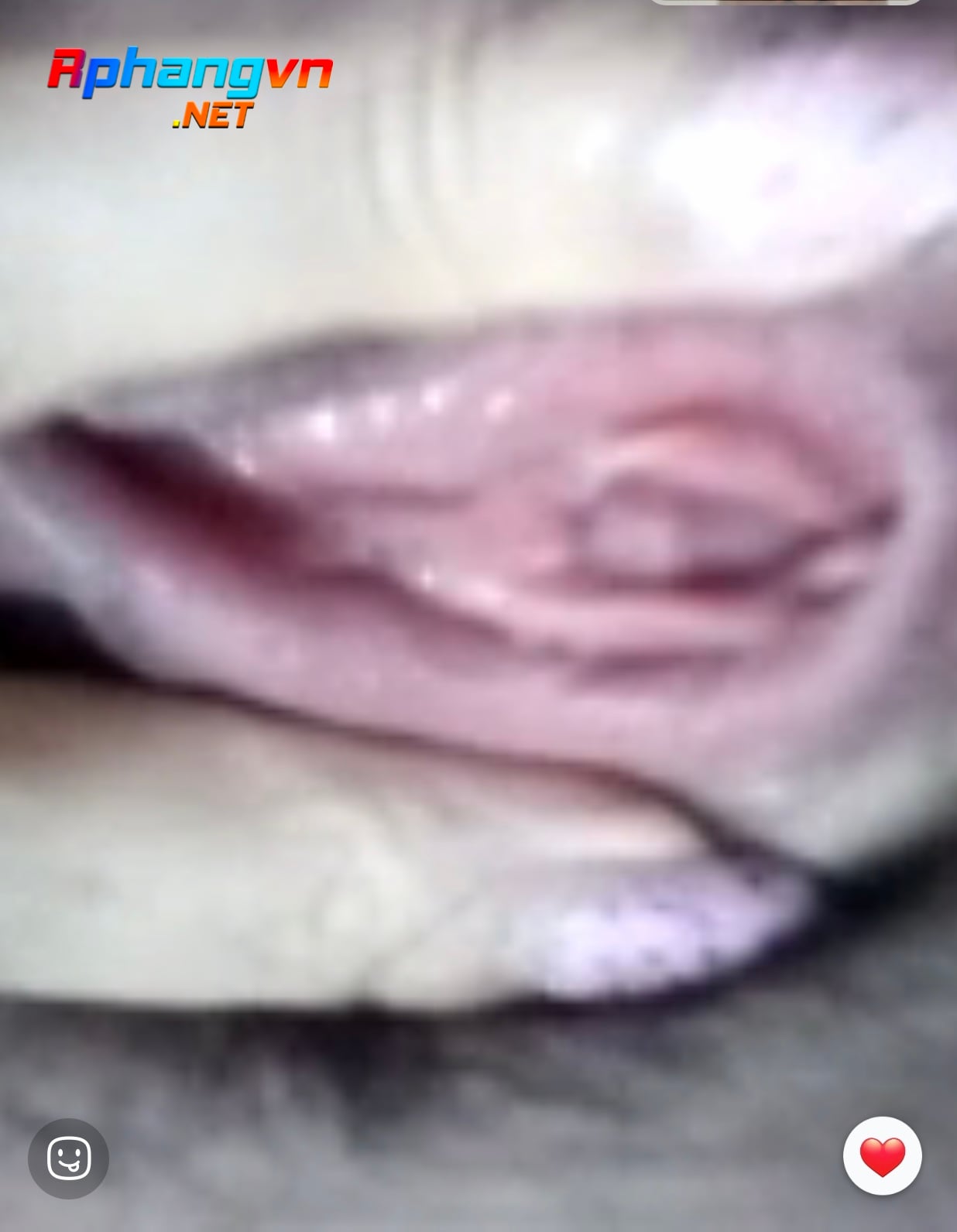 E75D4F0F-B1EE-42E0-81A0-E111EF0A586A.jpeg