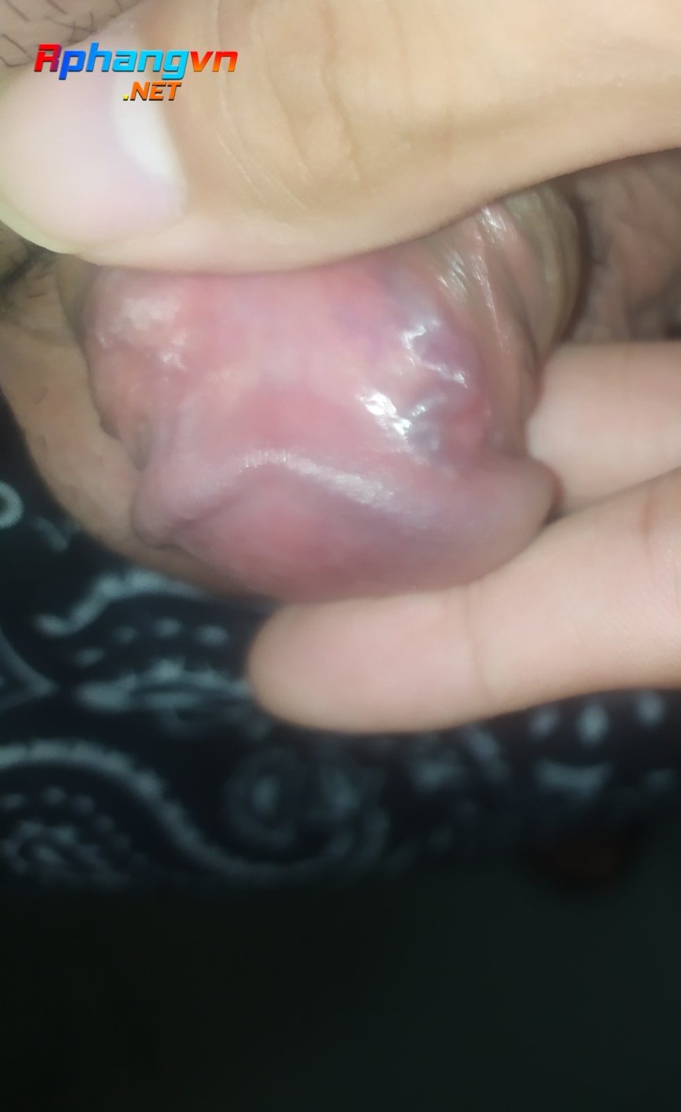 IMG_20210811_200818.jpg