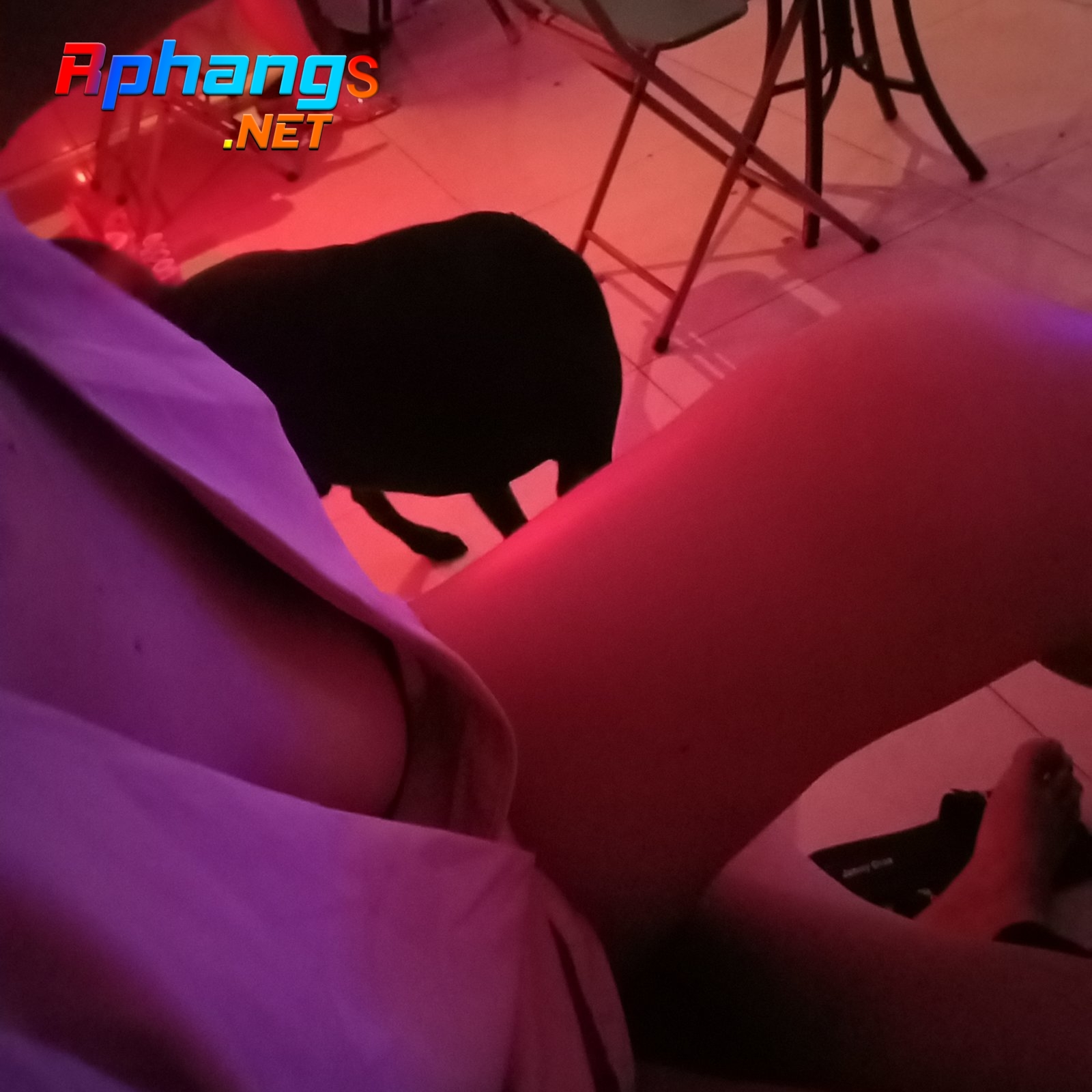 IMG20211102211826.jpg