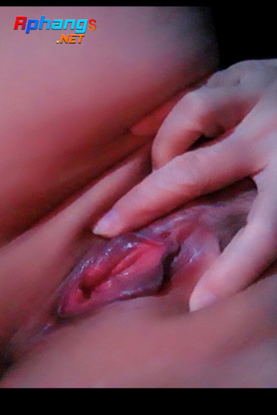 IMG_20211121_234001.jpg