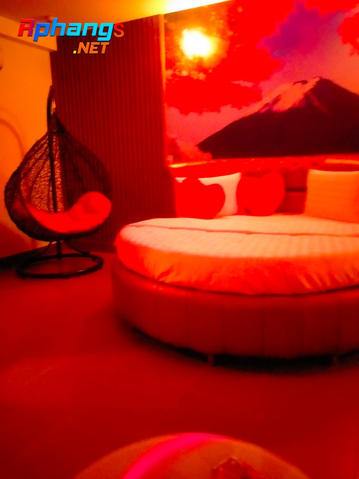 IMG20211226140244.jpg