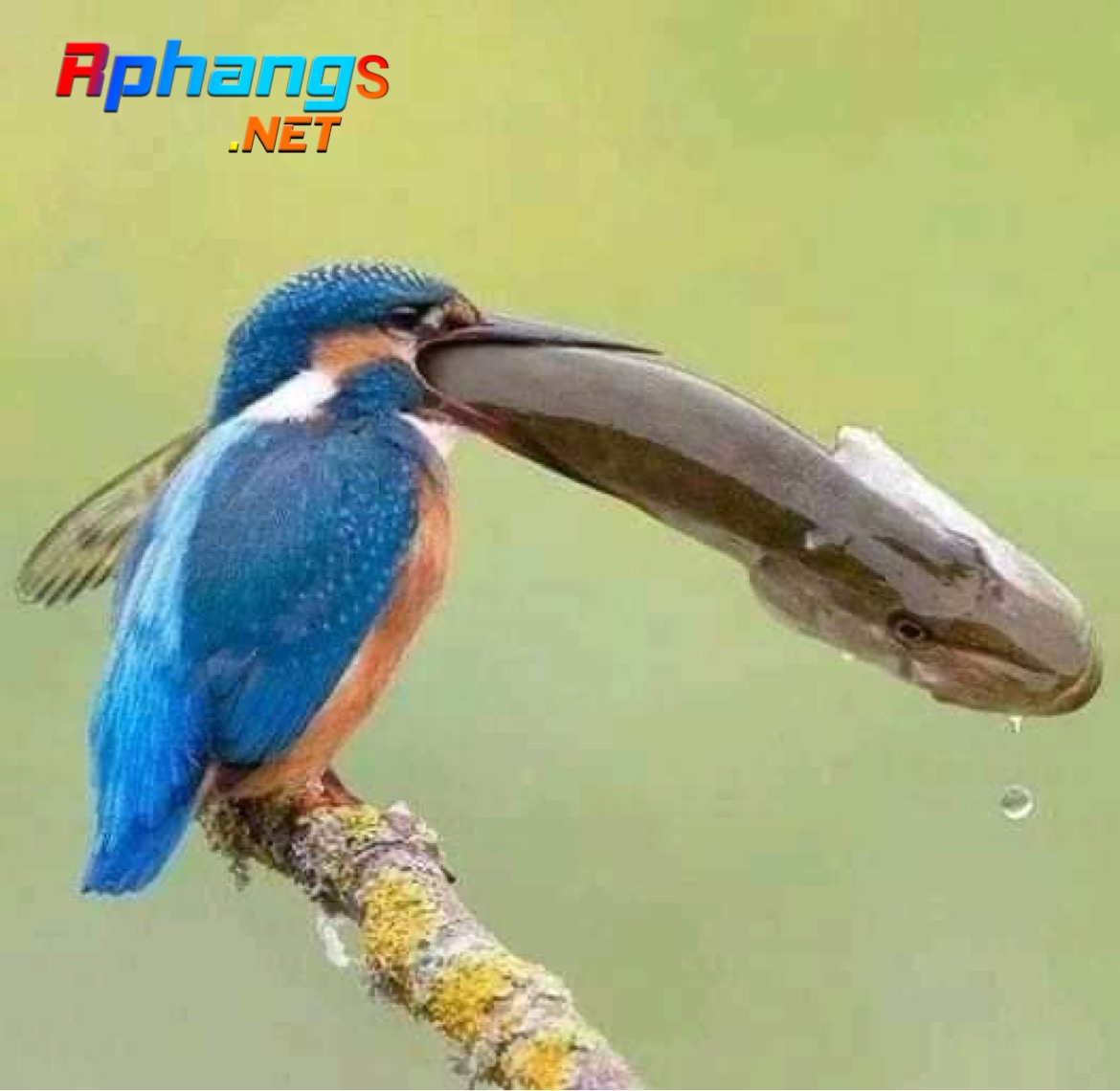 00A92004-FEEF-4B8F-B1BE-0898E362C333.jpeg