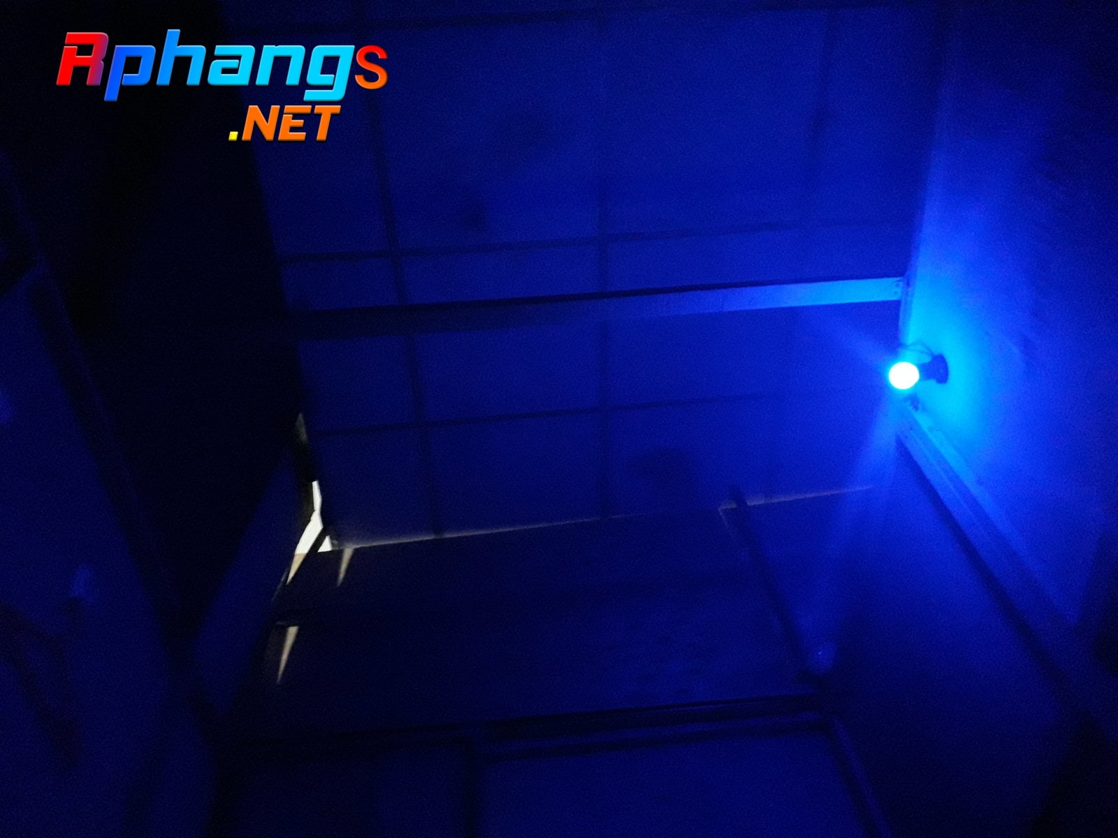 20220326_130248.jpg
