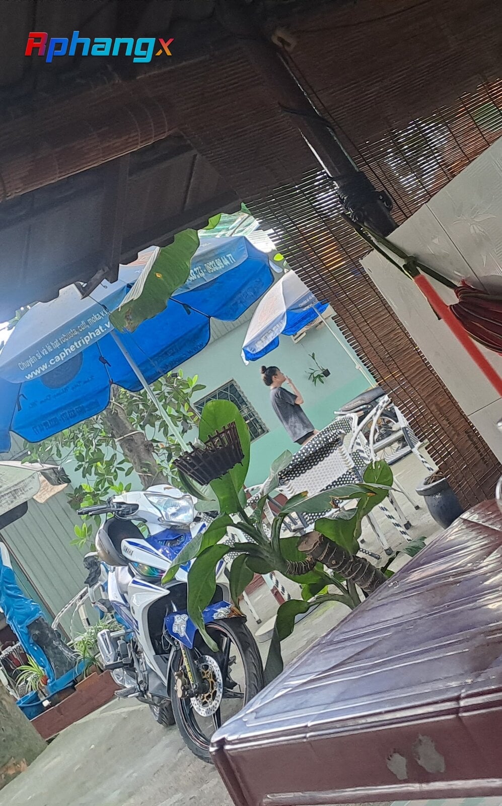 20220803_104158.jpg