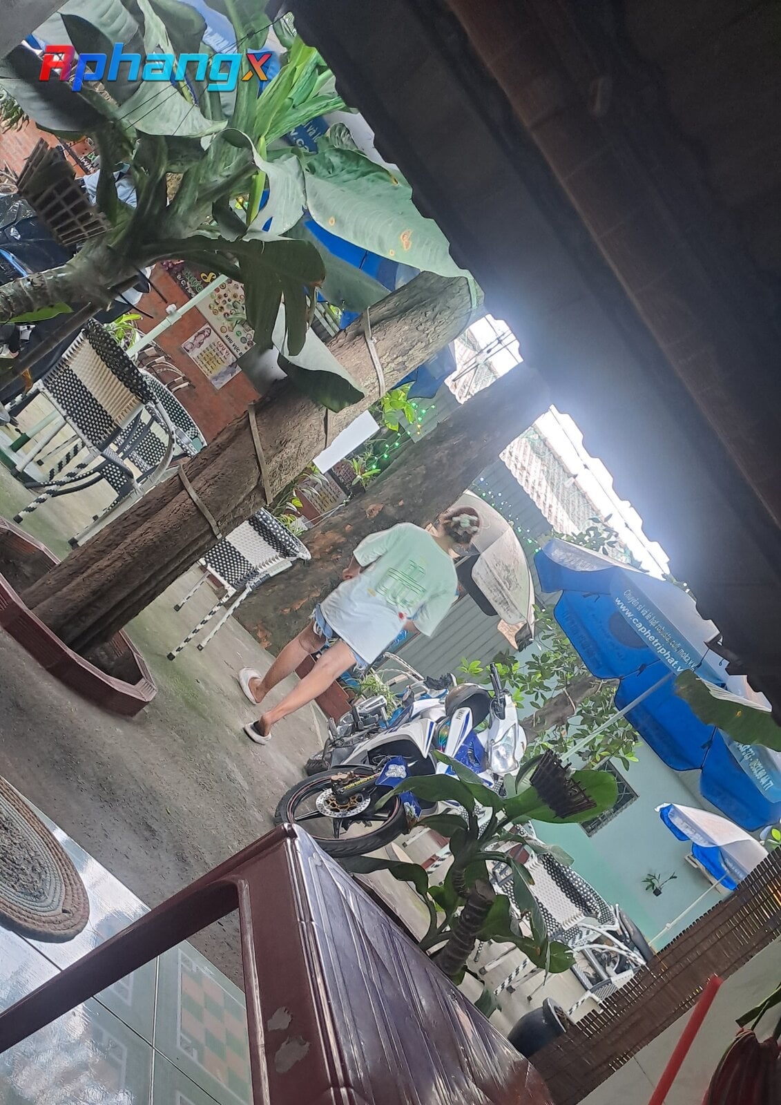 20220803_105057.jpg