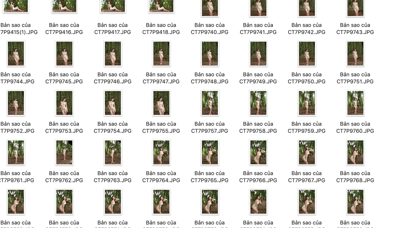 Screen Shot 2022-11-13 at 3.58.49 AM.png