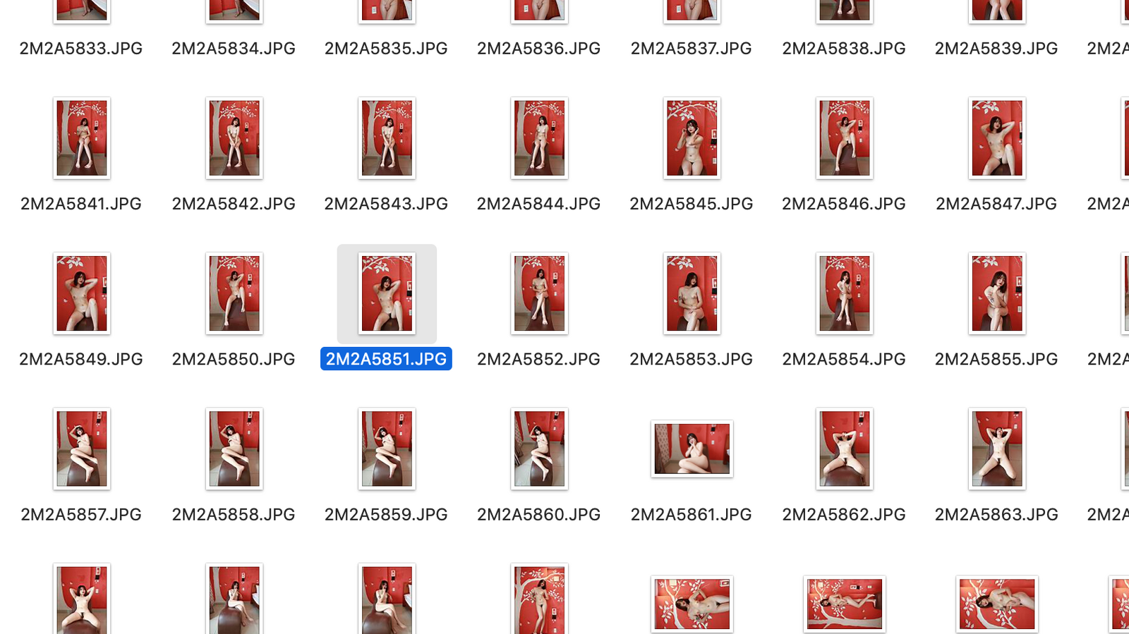Screen Shot 2022-11-13 at 4.04.15 AM.png