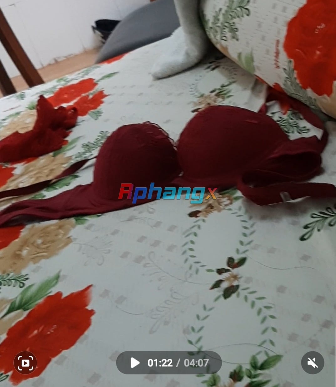 Screenshot_20221125-184455_Gallery.jpg