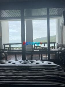 DF1FF753-F64B-4081-A1CB-E6E9DC6A4ED7.jpeg