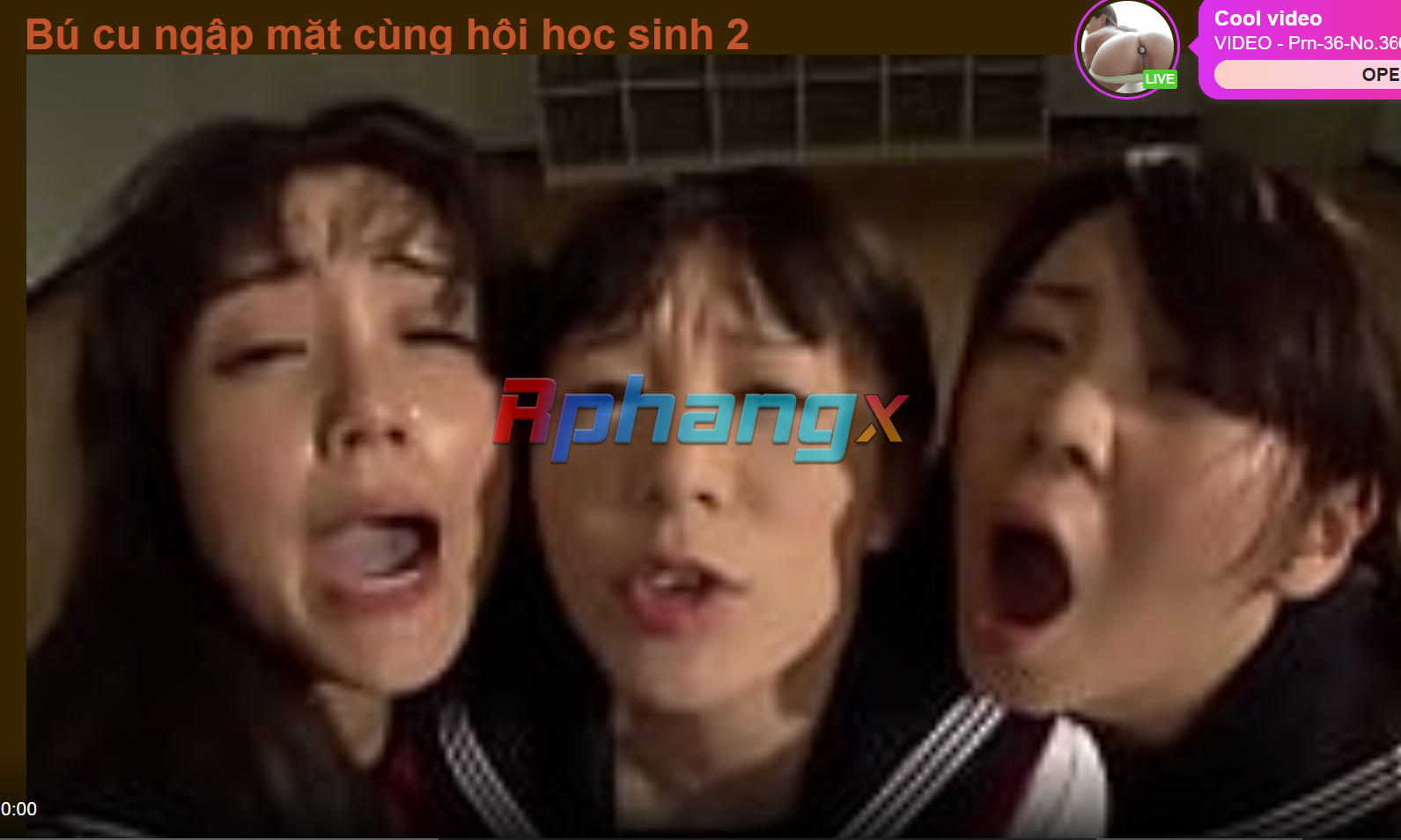 1676652903886.png