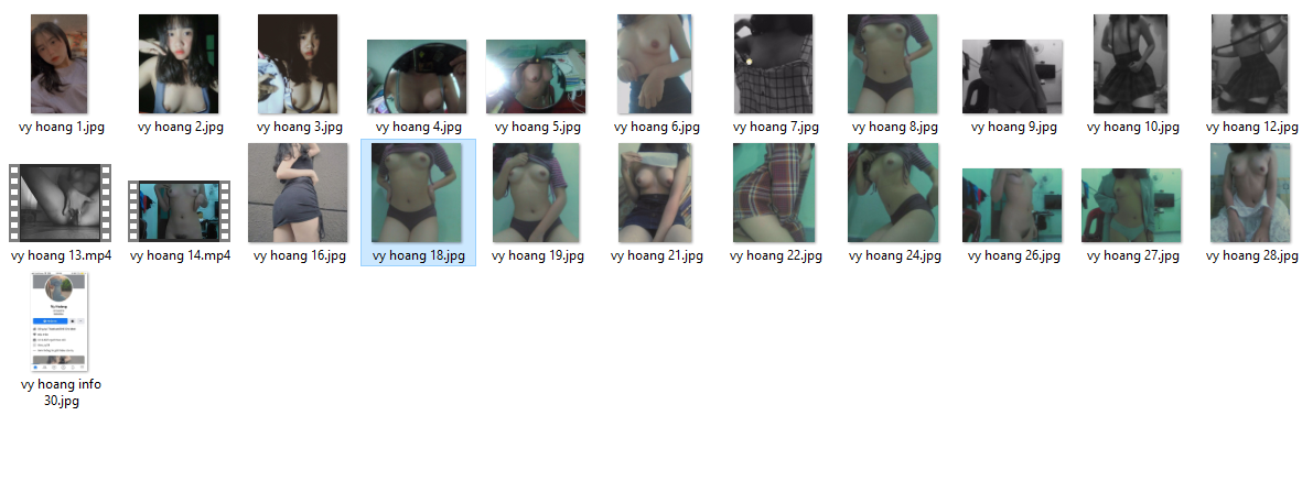 1.vy hoang list.png