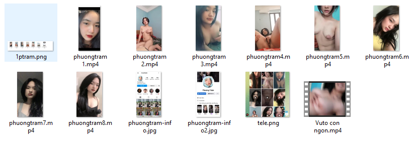 1.pt.png