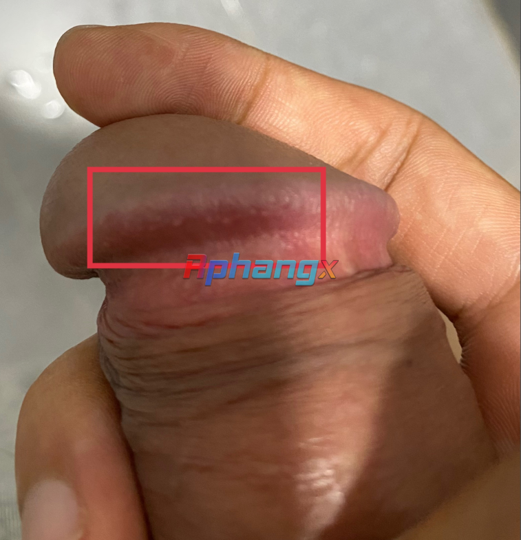 1680513770850.png