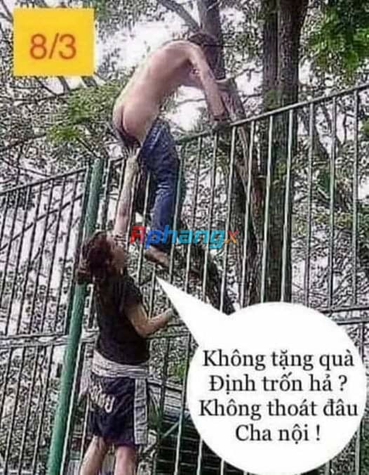 FB_IMG_1677996697439.jpg