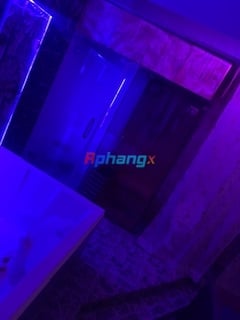 IMG_0218.jpeg