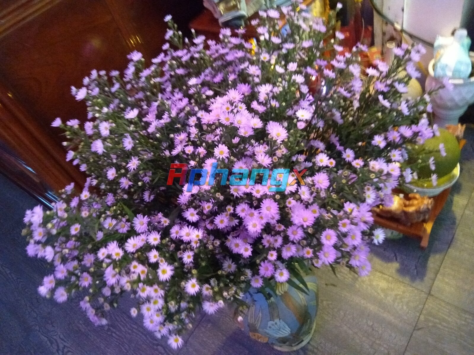 IMG20230525145117.jpg