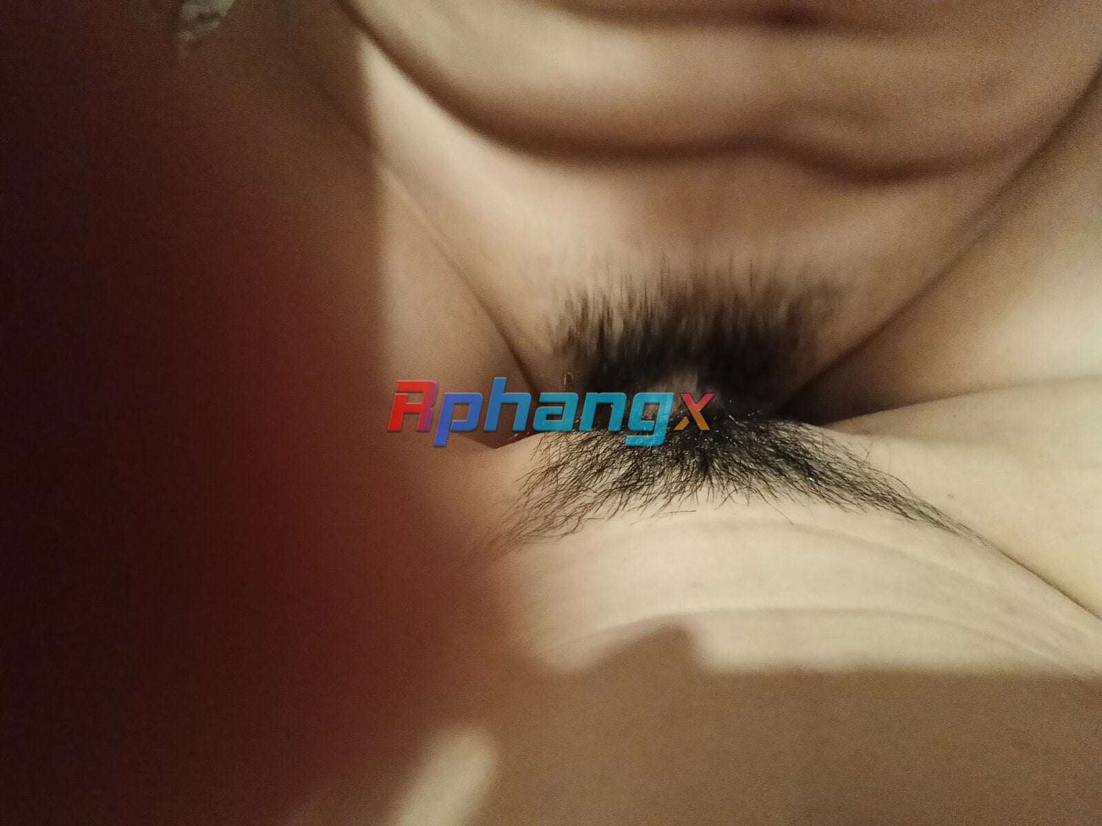 IMG20230611201109.jpg