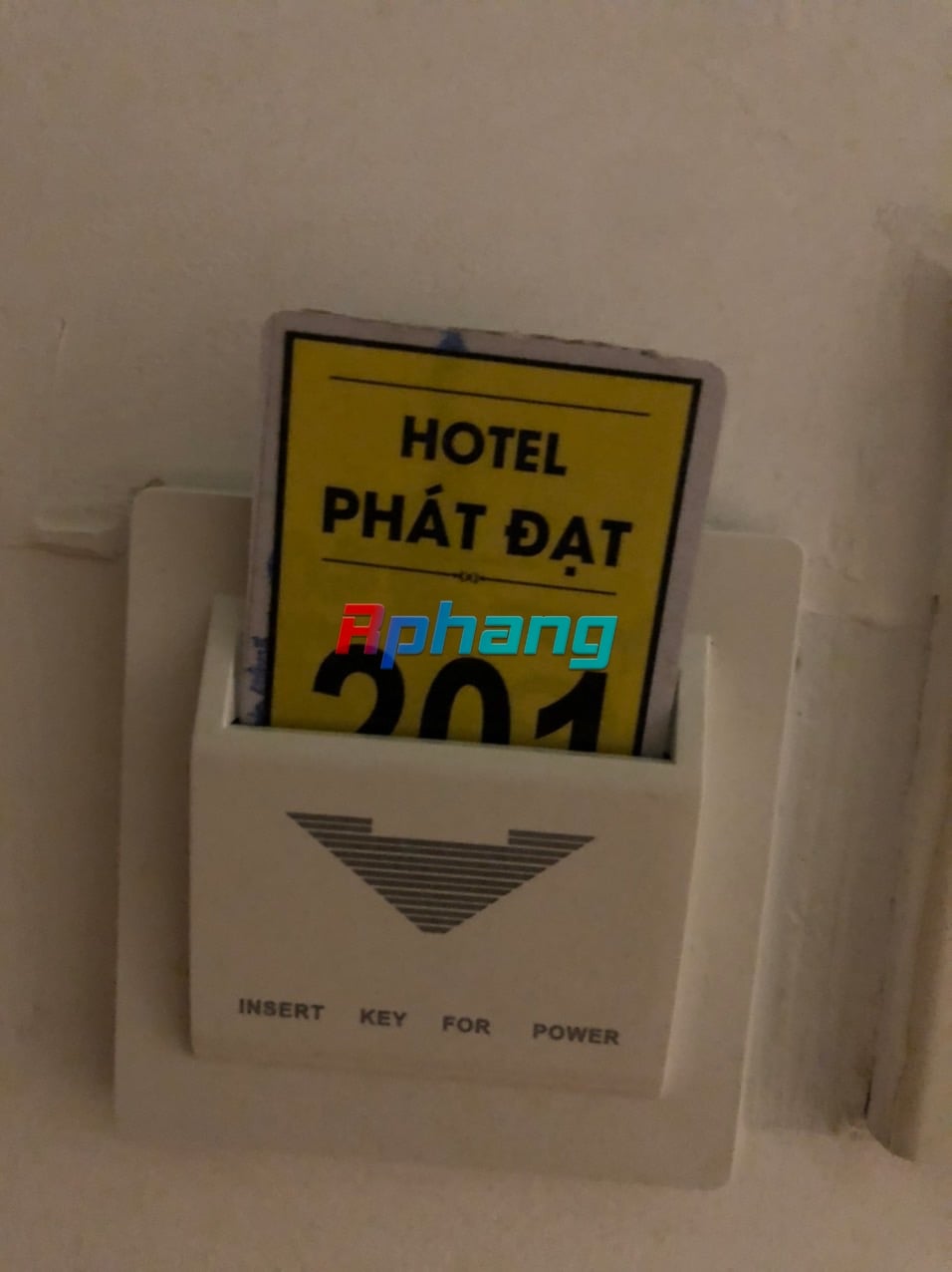 1688652840495.jpeg
