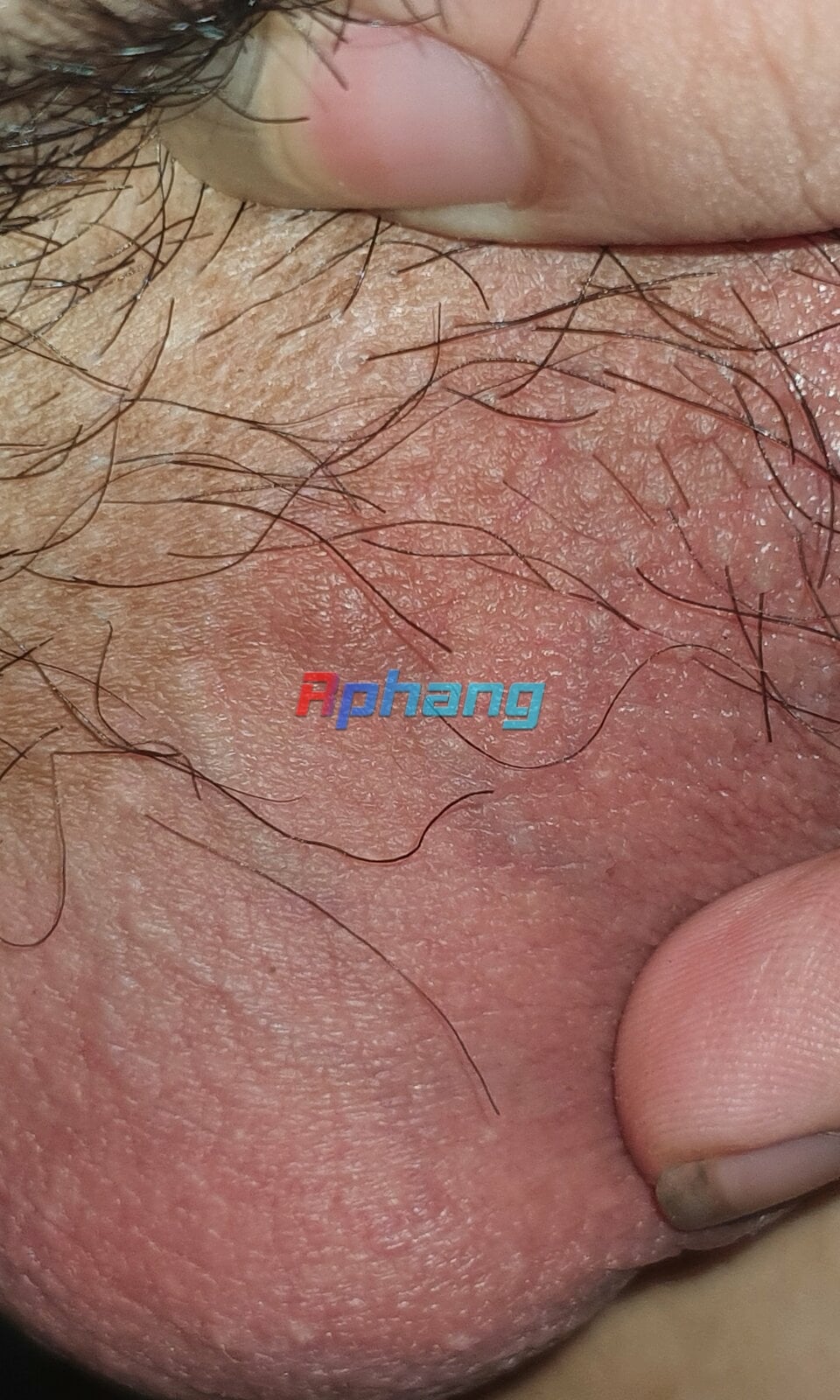 20230729_133636.jpg