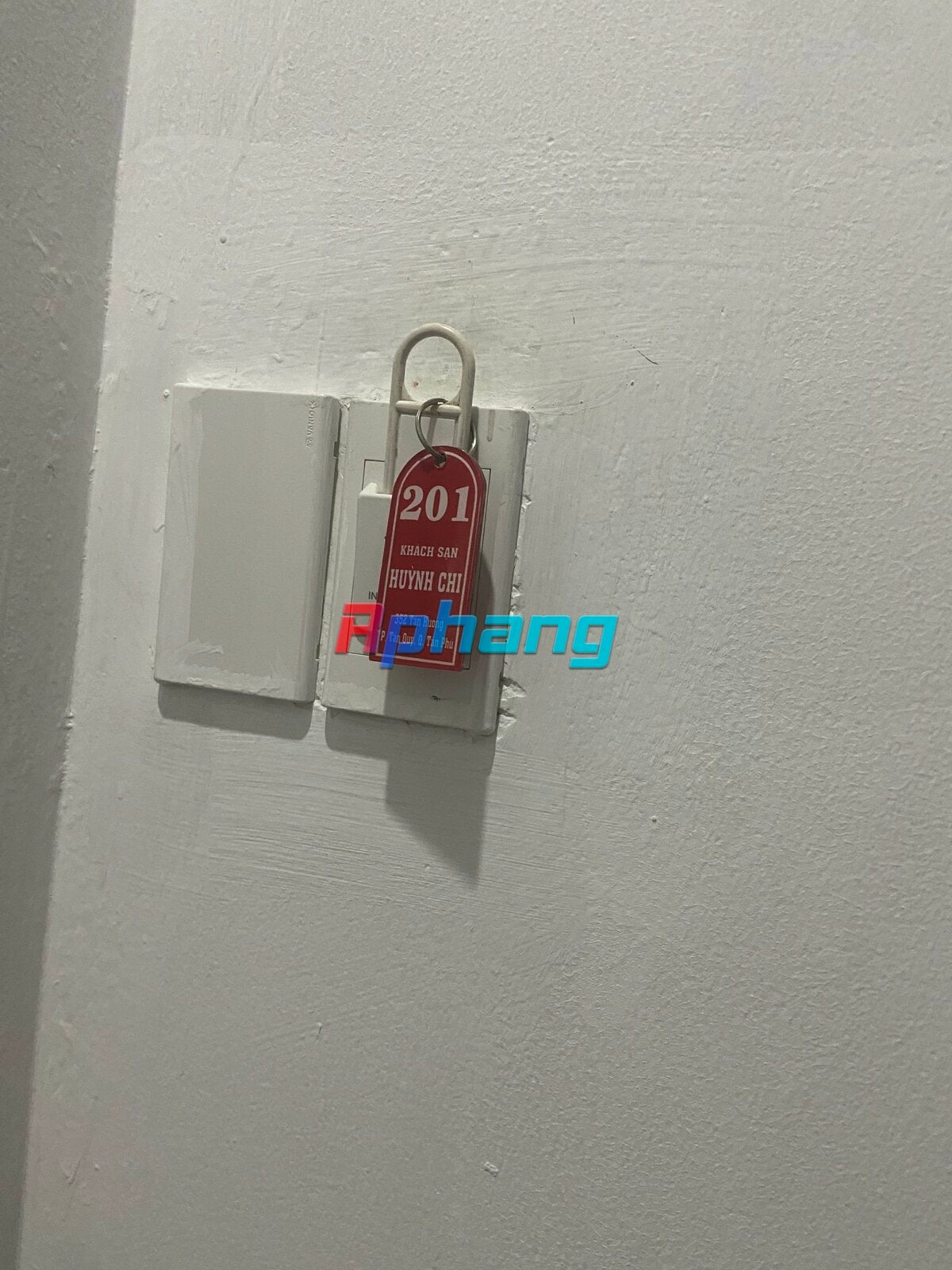 IMG_5983.jpeg