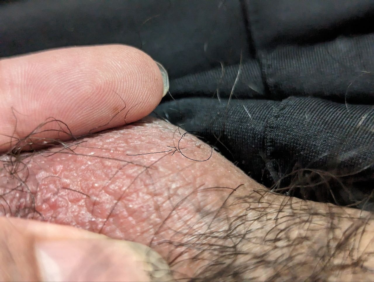 442f8eac-b0c1-4ffc-b663-6fda309b59aa.jpg