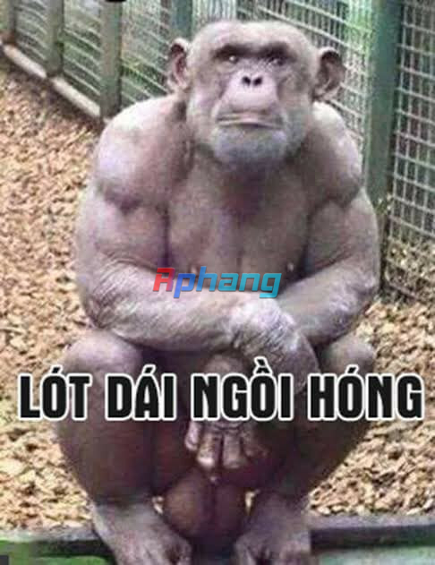 khi-dot-lot-dai-ngoi-hong.jpeg