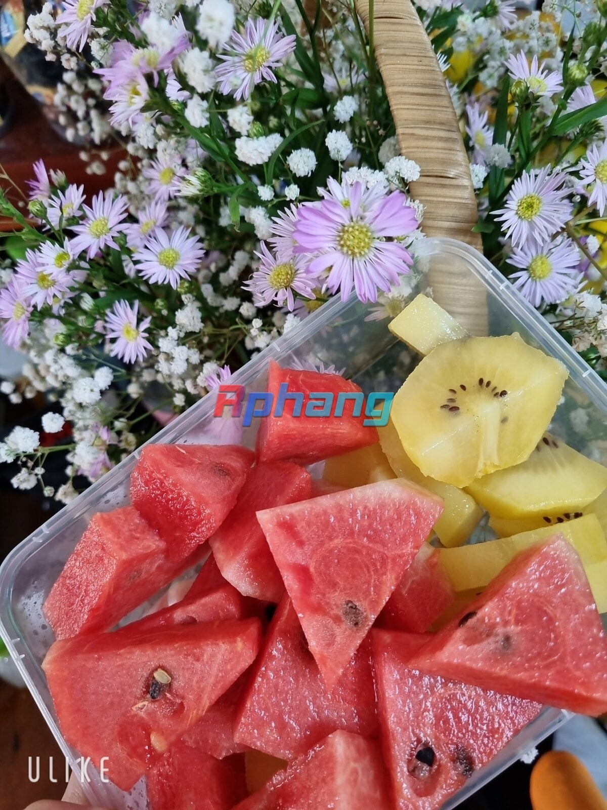 beauty_20231005100331.jpg