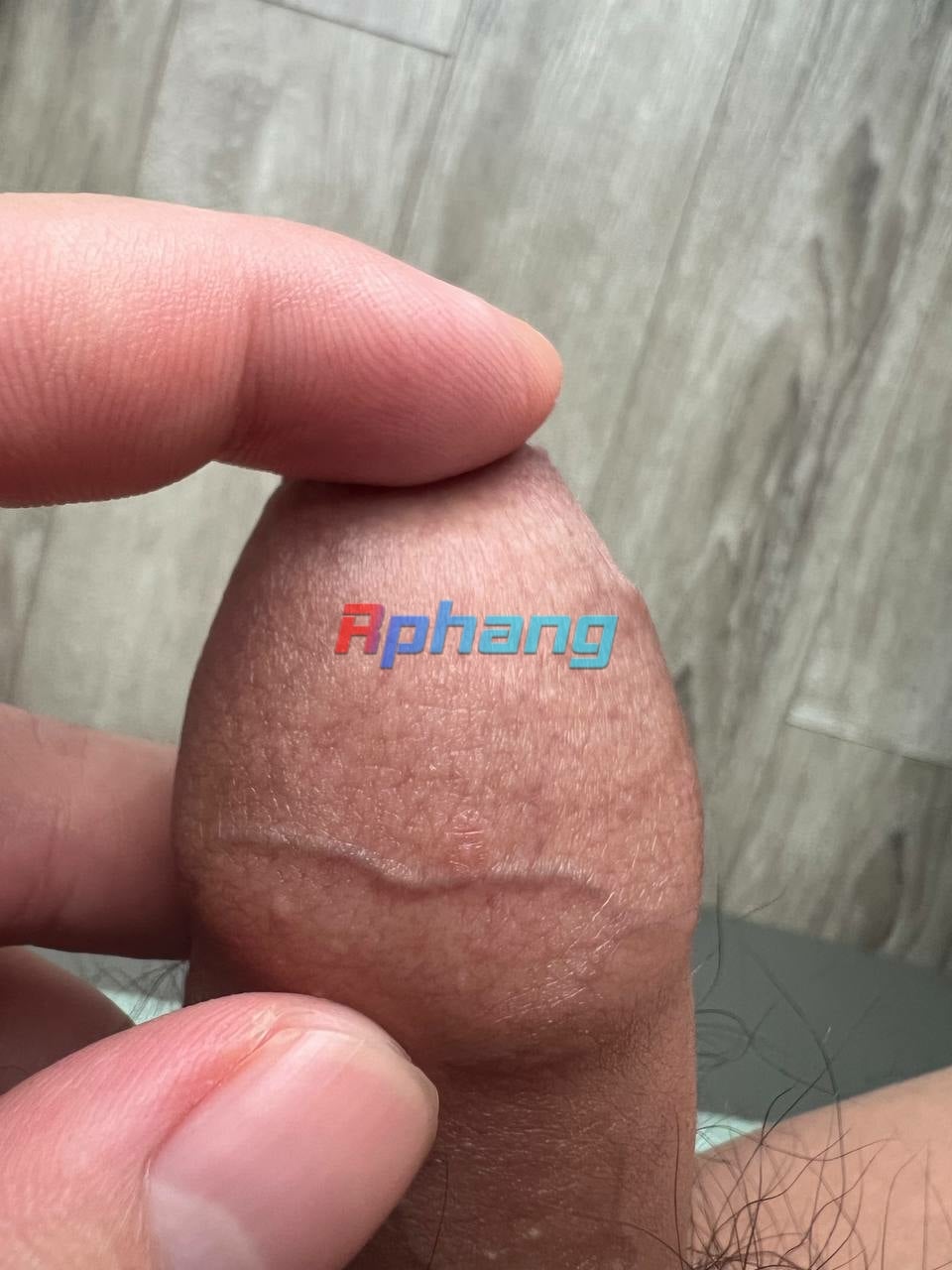 1698289538335.jpeg
