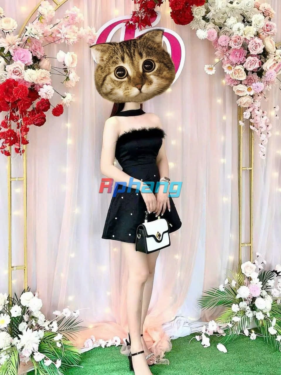 z4819667229539_2e2315cfefda94afa121cc91d670e869.jpg