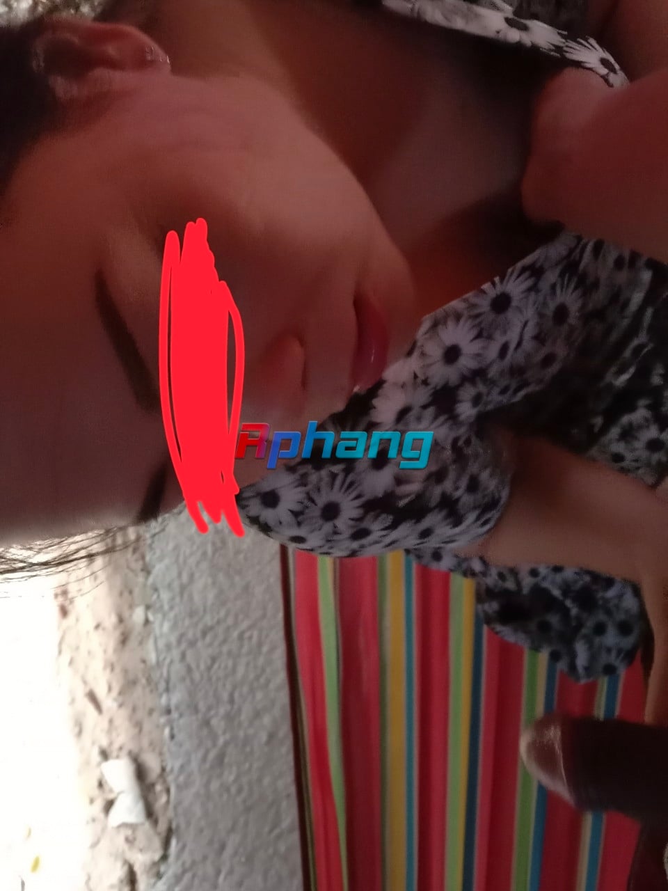 IMG_20231101_061219.jpg