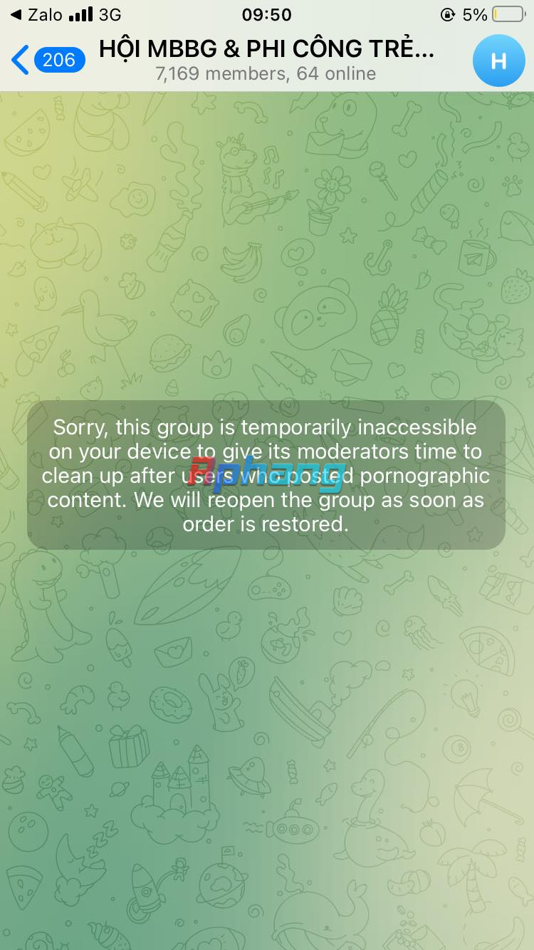 1699173026430.png
