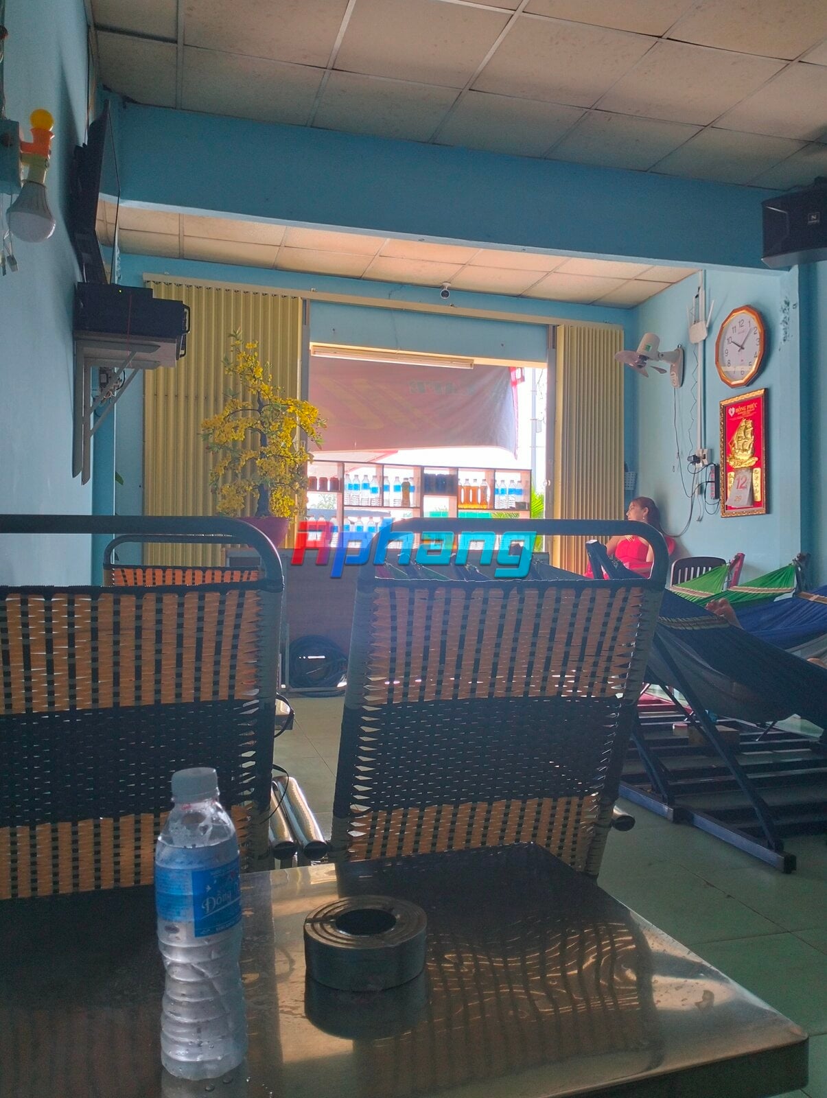 IMG20231113100739.jpg