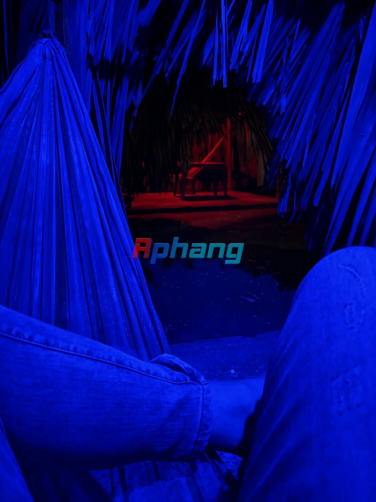 IMG_3811.jpeg