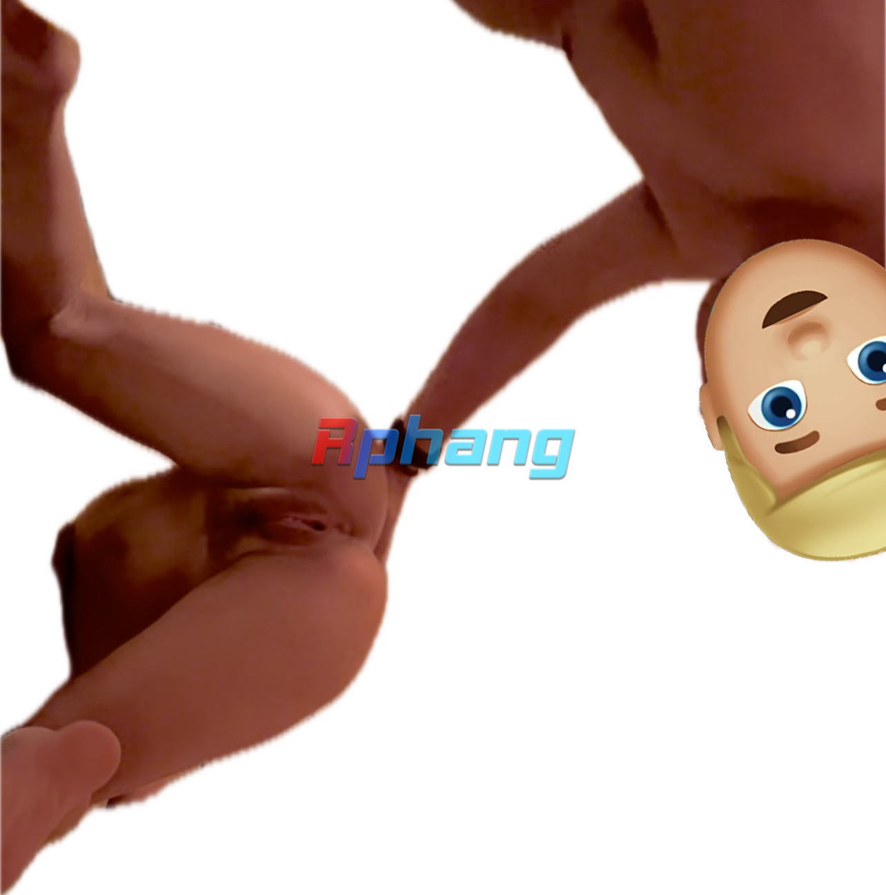 IMG_7969.jpeg