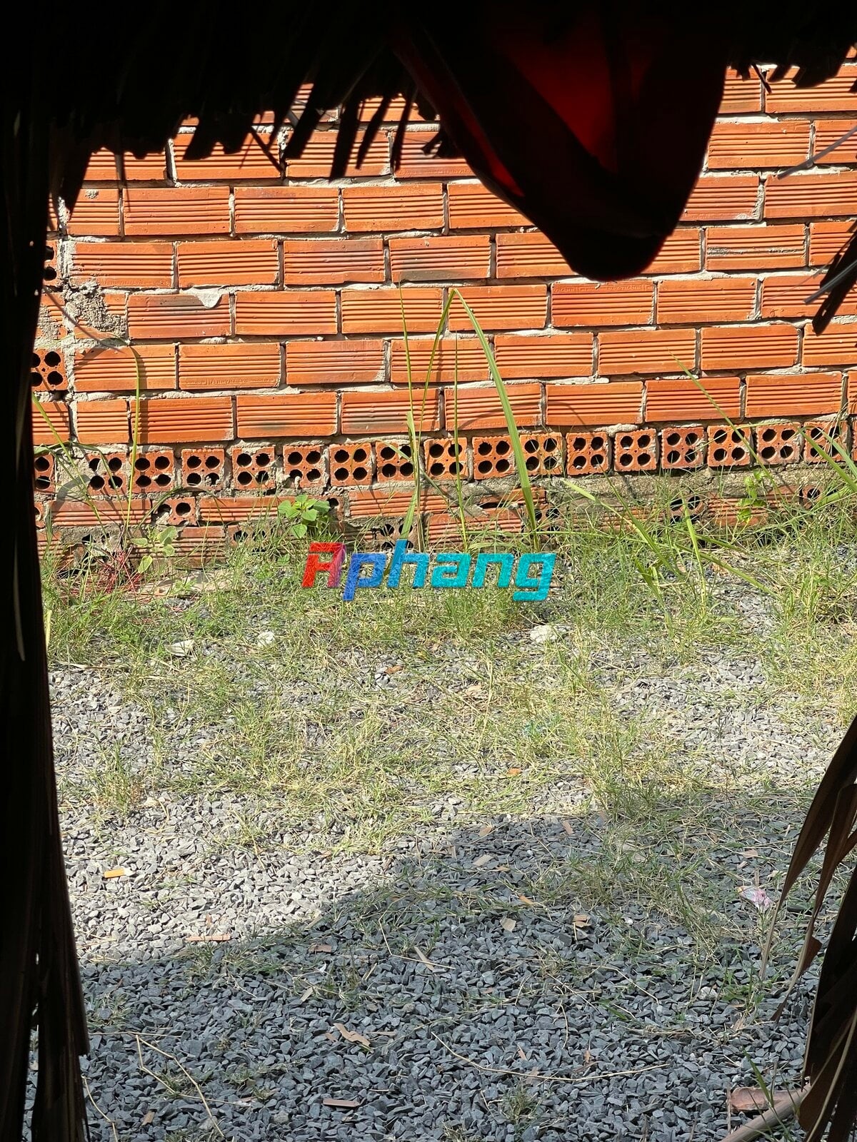 IMG_3861.jpeg