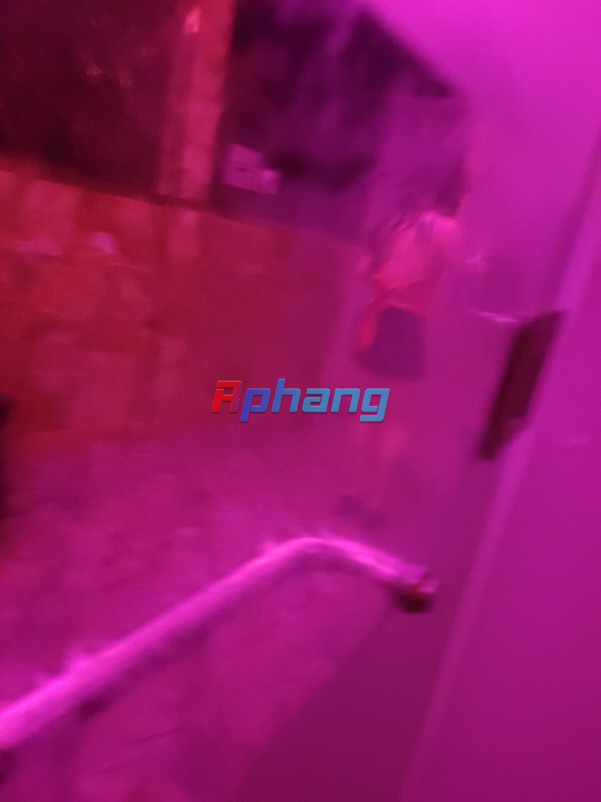 20240125_132208.jpg