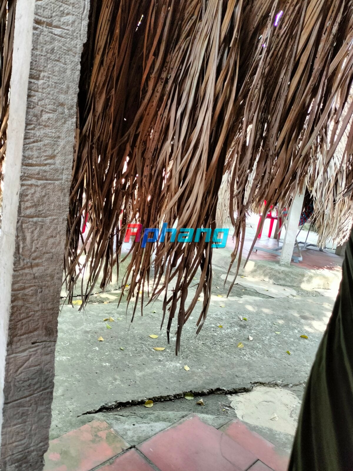 IMG20240131134200.jpg