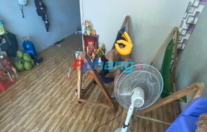 IMG_2255.jpeg