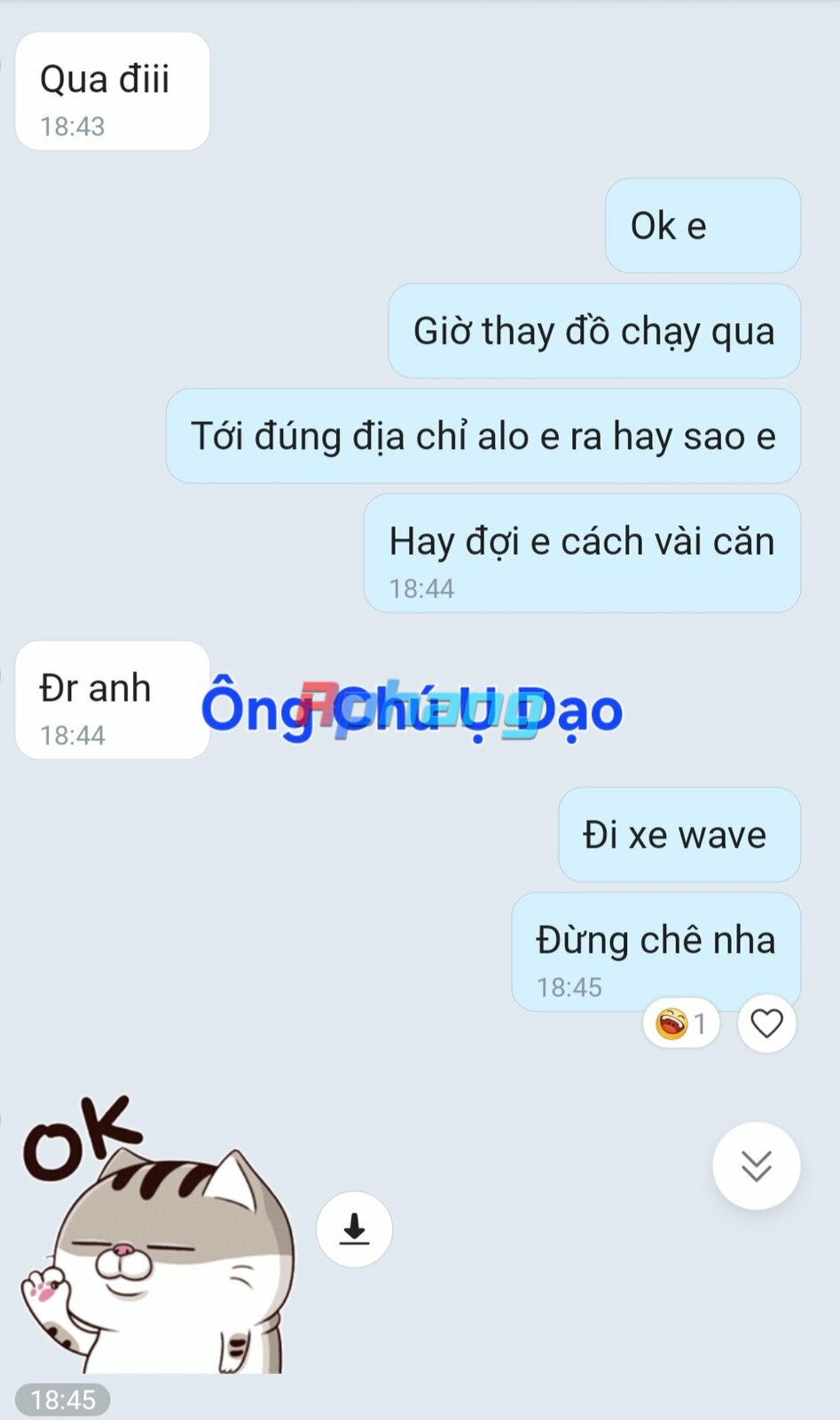 1000017570.jpg