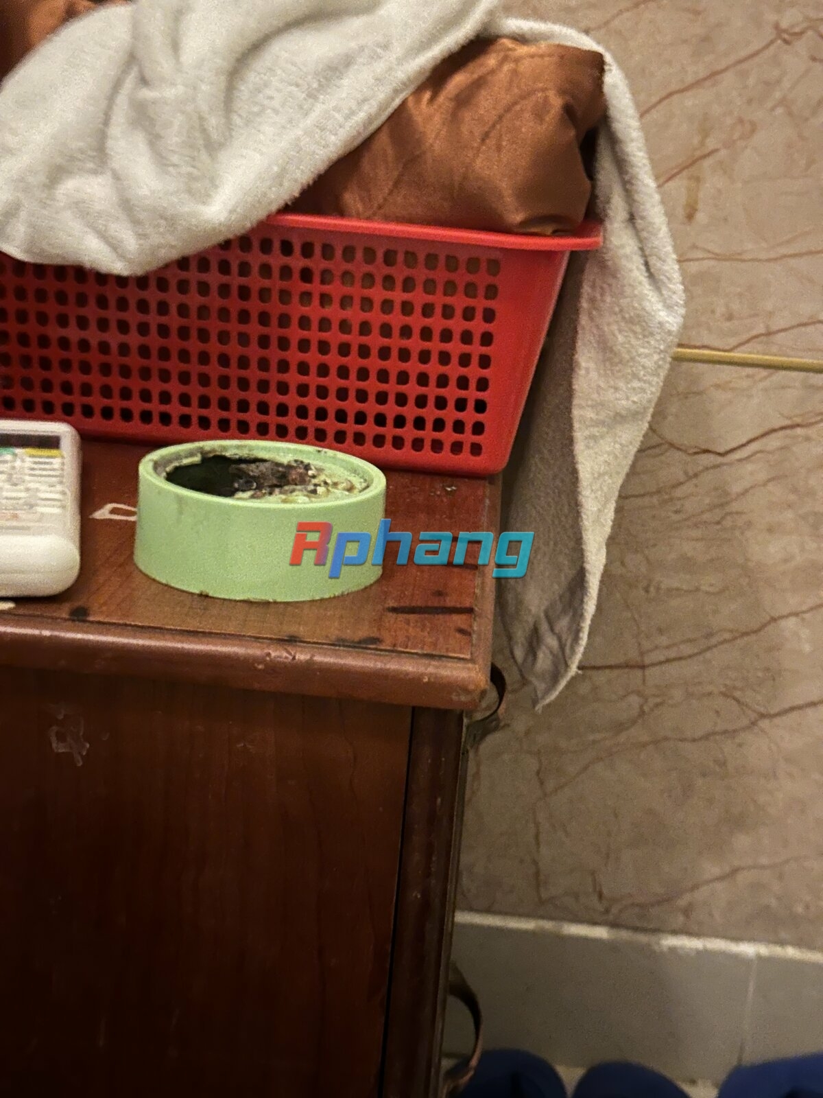 IMG_9192.jpeg