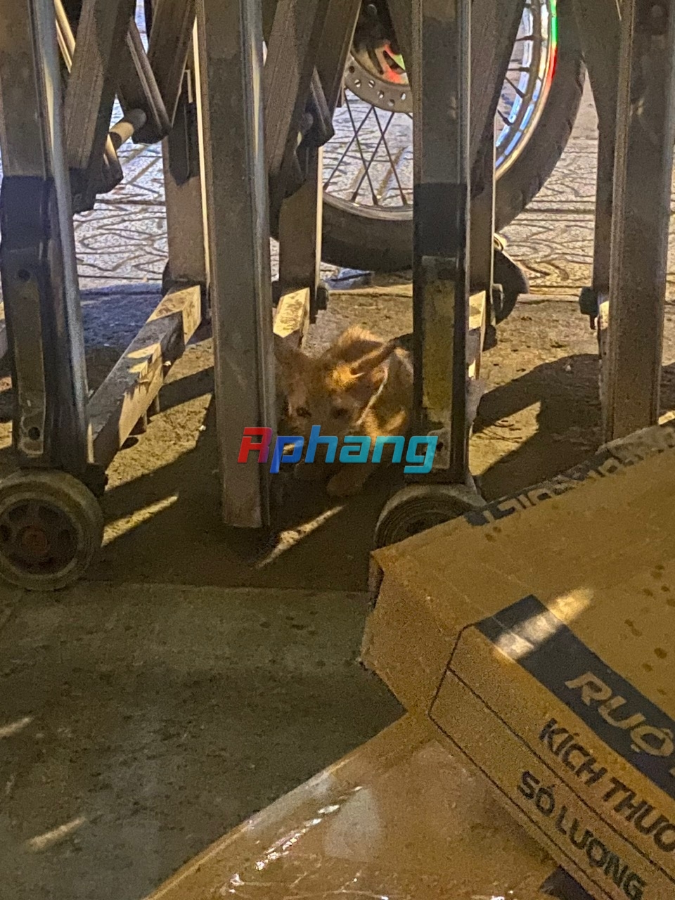IMG_4516.jpeg