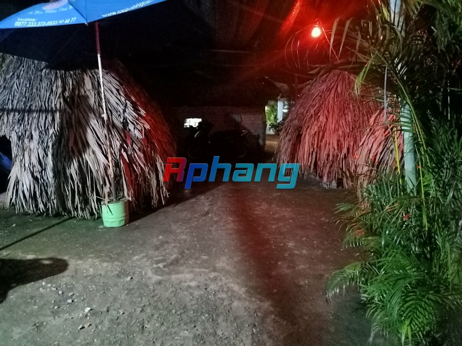 IMG20240616194646.jpg