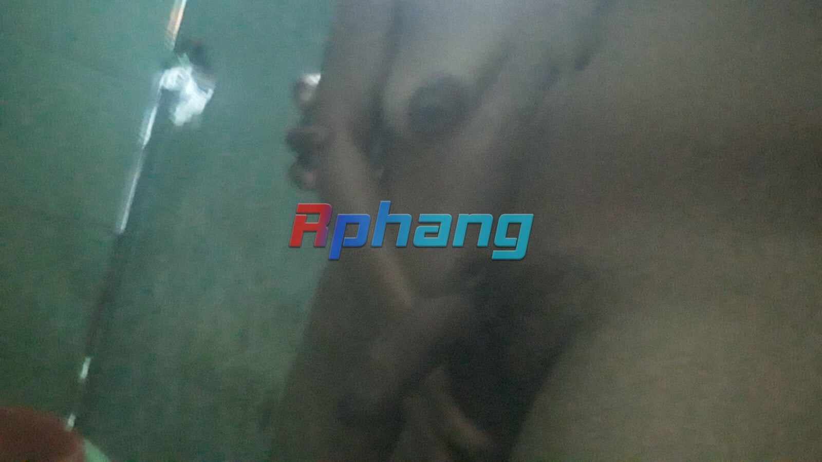 20240709_173654.jpg