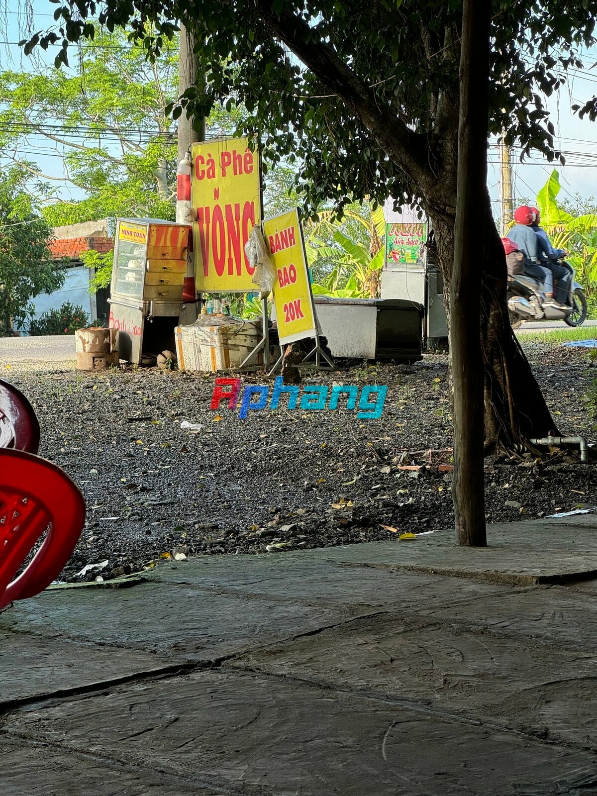 IMG_2161.jpeg